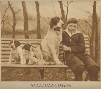 871708 Afbeelding van een jongetje met 3 honden op een bank op een onbekende locatie te Utrecht.